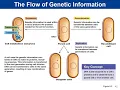 Chapter 8 - Microbial Genetics