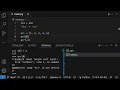 VS Code Tips Evaluating selected Python code