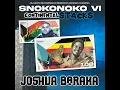 SNOKONOKO VI (Joshua Baraka)