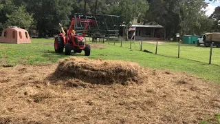 Tractor removes hay ring and moldy hay