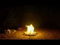 Wildflower | TEASER TRAILER