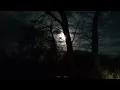 MISSOURI LAND watch til the end its funny