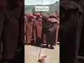 Download Lagu Basotho initiation songs #newsong #initiation
