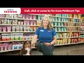 How to Crate Train Your Dog PetSmart Training Tips