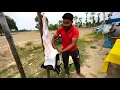 Download Lagu 🐐Snijden van lamsvlees 🥩Bazar mijn dorpsvismarkt￼ 🐠￼￼￼￼🥦