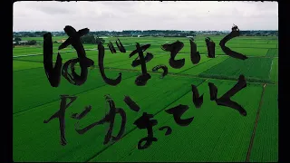 サンボマスター / はじまっていく たかまっていく MUSIC VIDEO