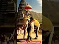 Download Lagu #Srinivasa Govinda Sri venkatesa Govinda 🙏🙏🙏🙏🙇🙇