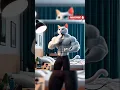 Download Lagu Daddy Cat Shaving In Sitting Room #funny #cat #cutecat #cartoon #kitten #catlovers #kitten #cat