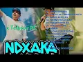 Download Lagu NDX AKA FULL ALBUM TERBARU 2025 Jaran Goyang | Tresno Tekan Mati | Nemen