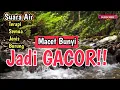 Download Lagu MAKIN GACOR‼️ 1 JAM Terapi Burung Alami Tanpa Doping, Suara Gemericik Air Bikin Burung Cepat Bunyi