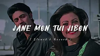 jane mon tui jibon lofi song paglu slowed u0026 reverb song 