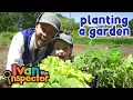 Ivan Inspects Planting A Garden Fun and Educational s for Kids