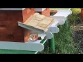 New Hive Visors and Peppermint Oil Deterrent Experiment