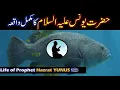 Download Lagu Hazrat Yunus A.S Story in Urdu | Life of Prophet Yunus | Qasas ul anbiya | YUNUS As Ka Waqia