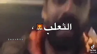 مقطع تيكتوك قال الأرنب لأمو 