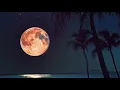 Lag ja gale | by SANAM | English Hindi lyrics