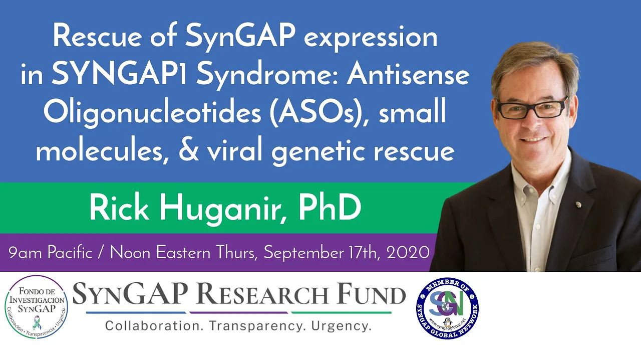 SynGAP Research Fund - Richard Huganir - Rescue of SynGAP expression - #SYNGAP1 #SRFWebinar