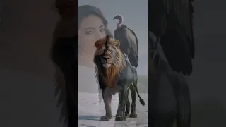 عيني بارده يا القصيده يا شارده اكسبلور الحياني متابعه اهلاوي لايك تفريح افراح السالمي تصميم 