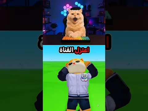 قررت أعتزل😿