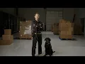 Allied Universal Enhanced Protection Services