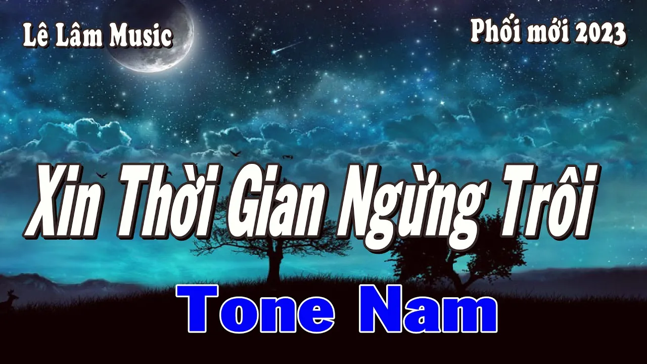 Karaoke - XIN THỜI GIAN NGƯNG TRÔI Tone Nam | Lê Lâm Music