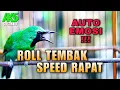 Download Lagu PANCINGAN CUCAK IJO ROLL TEMBAK SPEED RAPAT BIKIN LAWAN EMOSI CEPAT DONGKRAK BIRAHI AGAR GACOR