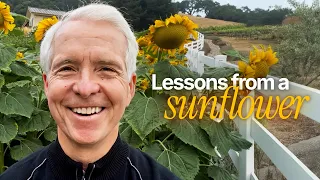 How To Live In The Light Of God 