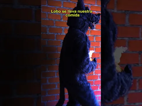 El Lobo se llevó nuestro comida 🙈 #gallos #mascotas #LinoElGalloConBotas #ellobo