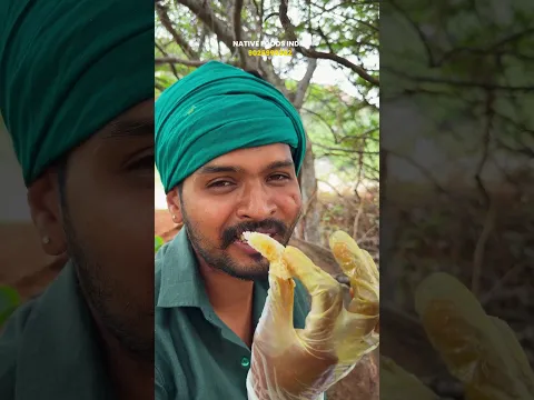 Cake போல அடுக்கு தேன்🥮| ADUKKU THEAN LIVE HARVEST🐝🍯#wildhoneyharvest #nandakumar #farmer