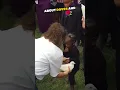 They were shocked what this dove did at this funeral