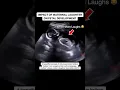 Effect of a Mother s Laughter on an Unborn Baby