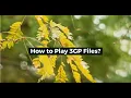 How to Play 3GP Files