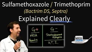 Bactrim Septra Uses Coverage Dosage UTI Treatment Etc