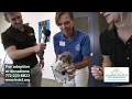 Pets on Parade - April 23 2025