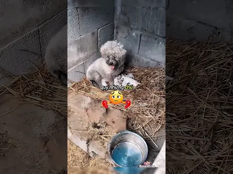 Thấy biển báo này, tuyệt đối đừng xuống nước 😱