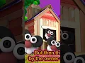 Download Lagu Kambing biri-biri 🐐🐐 #cuteanimals #funnyanimals #cutenessoverload