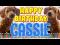 Happy Birt ay Cassie Funny Talking Dogs What Is Free On My Birt ay