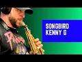 Download Lagu Kenny G  - Songbird (Cover by Balazs Kokai)