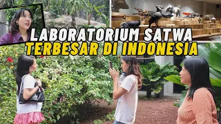 HIDDEN GEM BOGOR TERNYATA GILA BANGET!