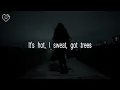 horsegiirL - that's my beach! (Lyrics)