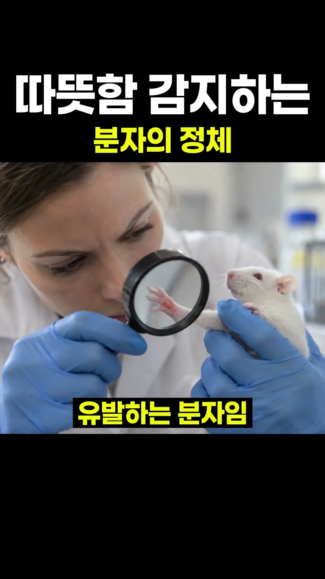 따뜻함 감지하는 분자의 정체 #shorts