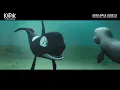 Lagu KATAK: THE BRAVE BELUGA TRAILER | On Digital and OnDemand June 13