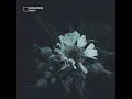 Martin Sturtzer - Flowers