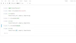 Chapter2 TensorFlow - Constants and Variables