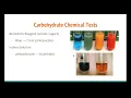 Biology 20 Macromolecule Review