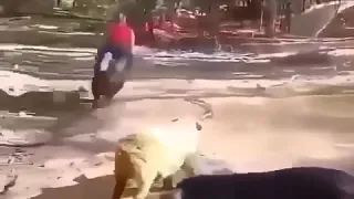 اسرع موتور بلعالم روعة هههه ضحك هستيري حالات واتس اب 