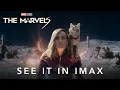 The Marvels Experience in IMAX Nov 10
