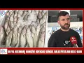Download Lagu BU YIL VATANDAŞ HAMSİYE DOYACAK! GÜNCEL BALIK FİYATLARI BELLİ OLDU