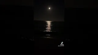 عمر خيرت خلي بالك من عقلك  حالات رومانسية دندنها