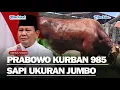Download Lagu TERSEBAR DI BERBAGAI DAERAH Prabowo Kurban 985 Sapi di Idul Adha